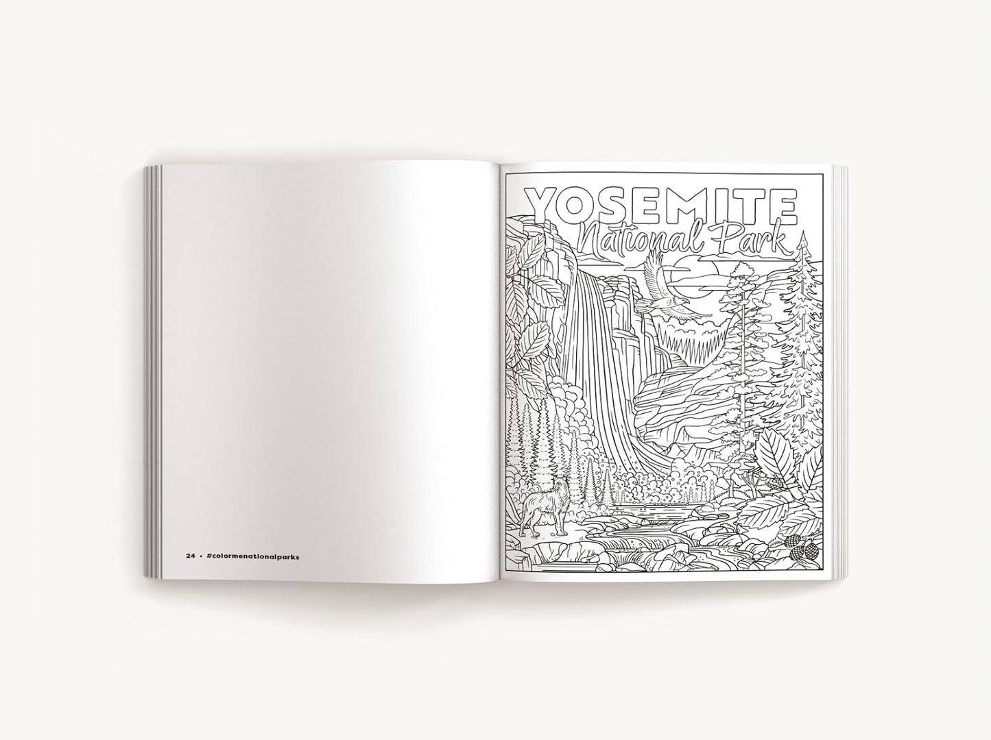 Color Me National Parks: An Adventurous Coloring Book