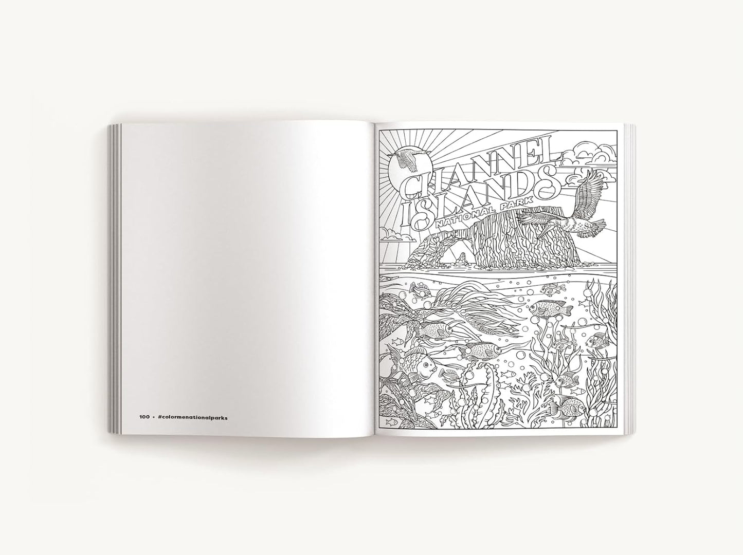 Color Me National Parks: An Adventurous Coloring Book