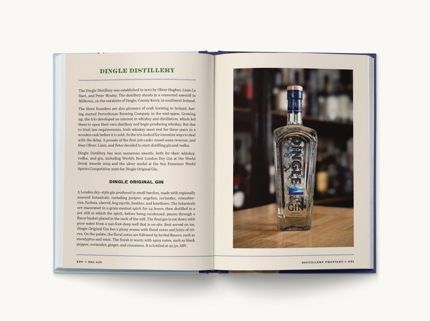 Big Gin: The Rebirth of One of the World’s Oldest Spirits (The History and Craft of Gin)