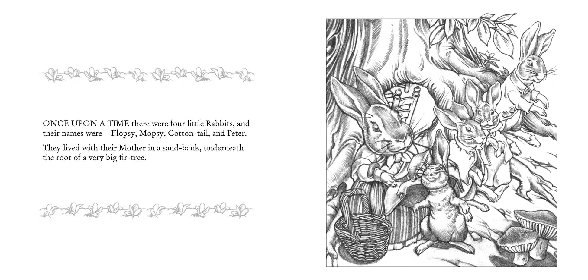 tale of peter rabbit coloring pages