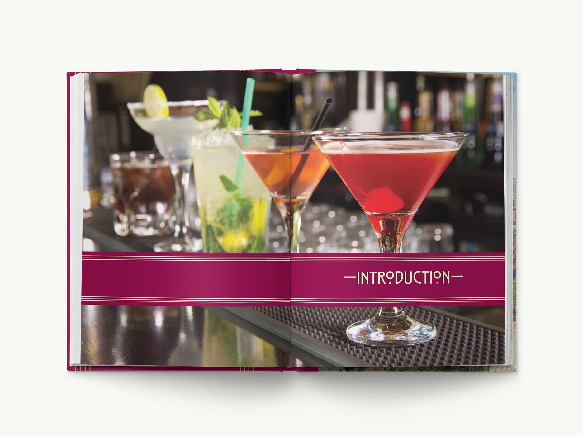 The Official Emily in Paris Cocktail Book: Glamorous Mixed Drinks for Any  Time of Day (Hardcover)