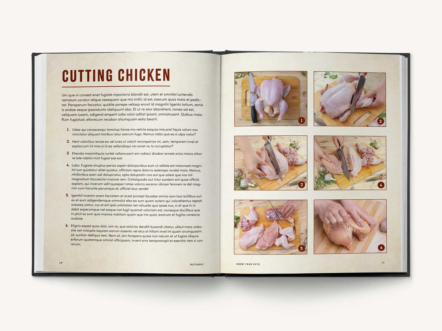 Butchery: The Ultimate Guide to Butchery and Over 100 Recipes